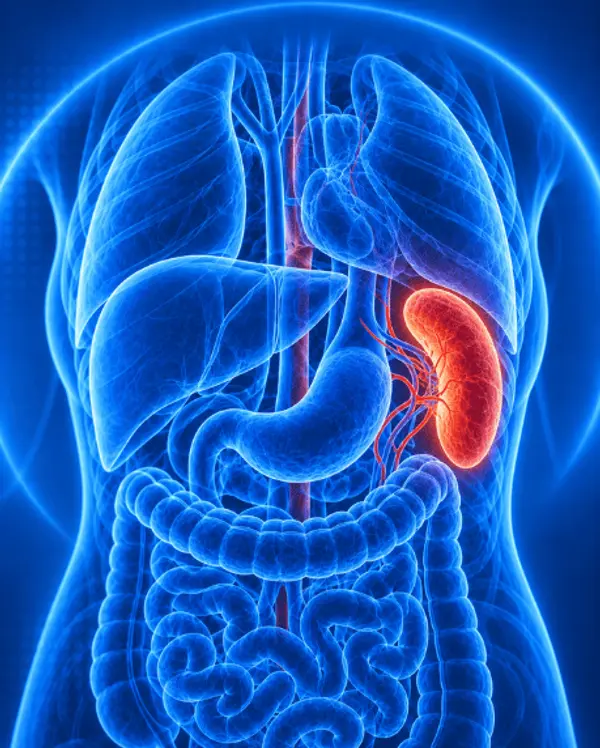 Splenectomy