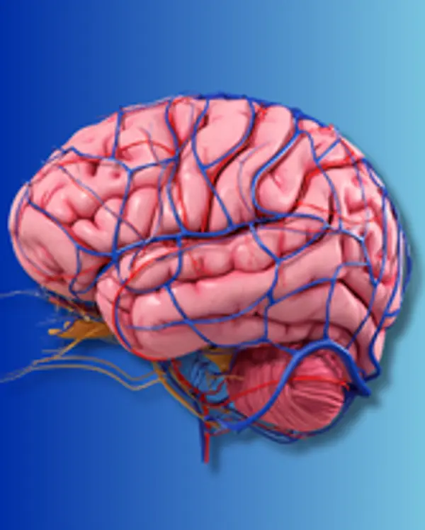 Trattamento del Cancro al Cervello