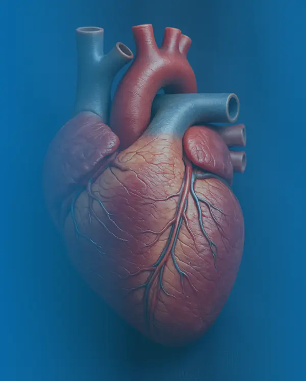 Congenital Heart Surgery