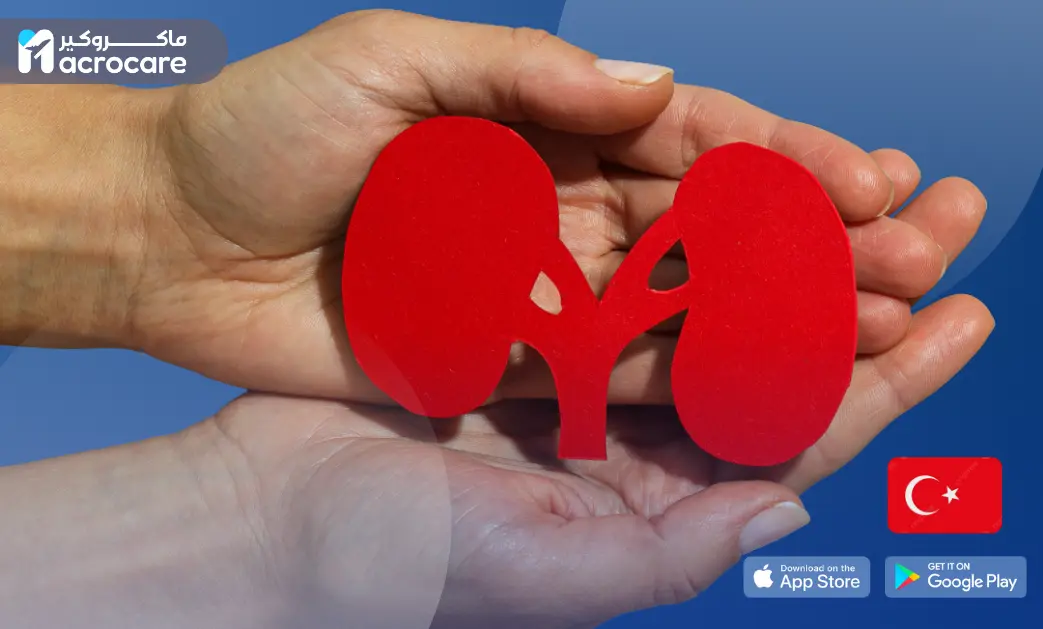 Kidney Transplant in Turkey: A Complete Guide with Macrocare Medical Coordination cover image