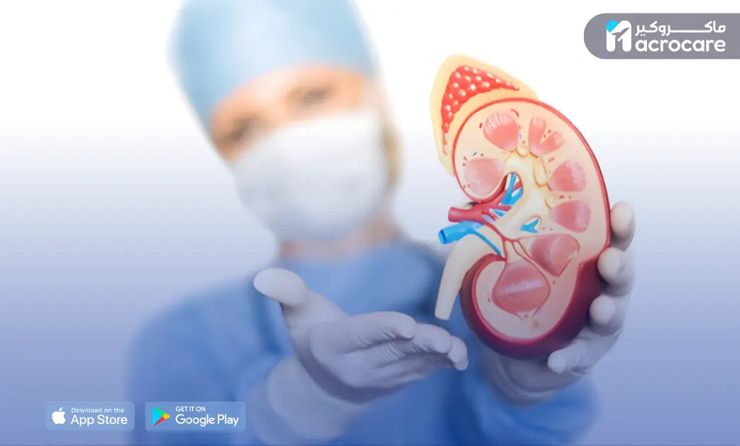 Kidney Transplant in Egypt: A Complete Guide and How Macrocare Supports International Patients cover image