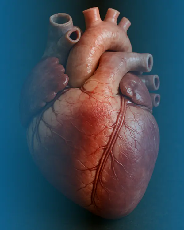 Angioplastica e impianto di stent