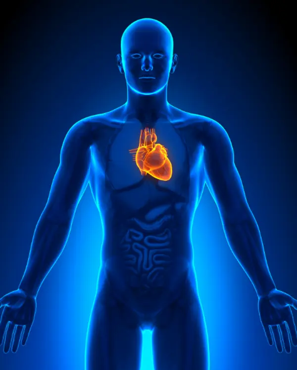 Cardiac Ablation