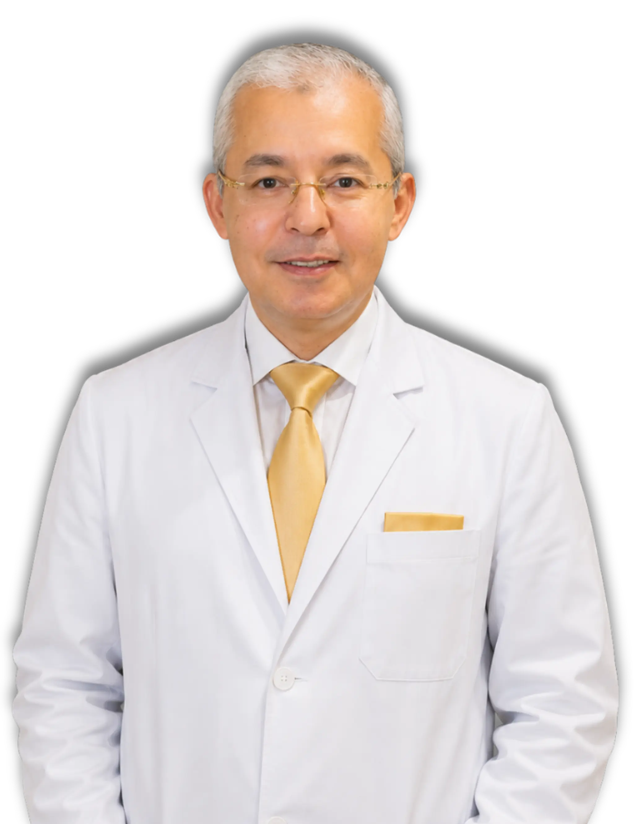Prof. Dr. Yousry Akl