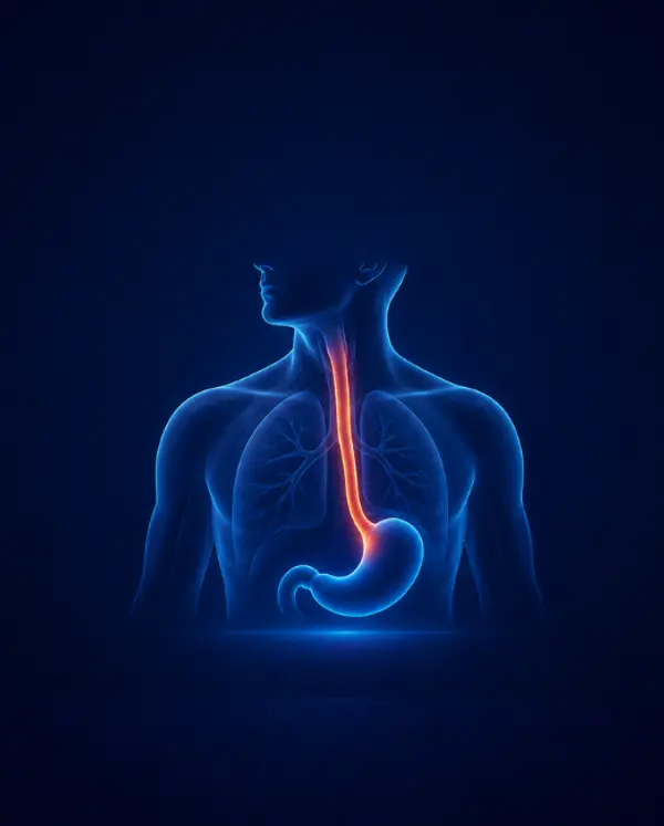 Esophageal Surgery