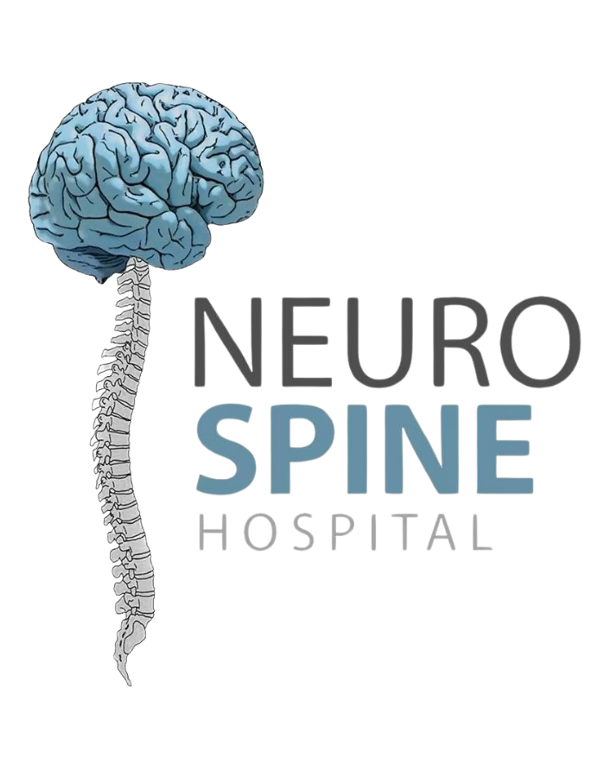 Neuro spine Hospital logo
